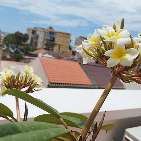 Apartamento Plumaria Málaga Esterno foto